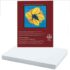 Bee Paper Vellum Surface Bristol 100 Pack 22.5" x 28.5" - (100 Sheets, 100lb)