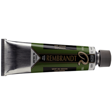 Royal Talens Rembrandt Oil Colour - (5oz/150ml) 623 Sap Green Series 2