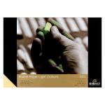 Rembrandt Pastel Paper Pad Light  Colors 8.3"x11.7", 75lbs 30 sheets  93082129