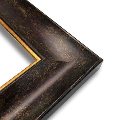 Series 144-77-Dark Bronze Frame with Gold Lip 12" x 16"