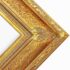 Series 9206 Gold Ornate Frame  FRMTP-9206G-20x24