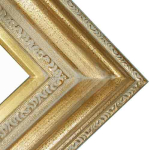 Series 446 Champagne Gold Gallery Deluxe Frame    FRMTP-446G-20X24