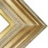 Series 446 Champagne Gold Gallery Deluxe Frame    FRMTP-446G-16X20