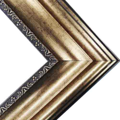Series 288G Gallery Deluxe Gold Frame 11" x 14"