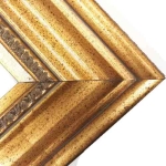 Series 333G-C Gallery Deluxe Gold Frame 12" x 24"