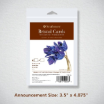 Strathmore Creative Announcement Cards and Envelopes - Ivory White w/ Deckle Edges, 3 1/2" x 4 7/8", 6Pk ST205-15