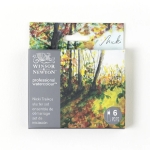 Winsor & Newton Artists Professional Watercolors Nicki Traikos Starter Set  WN0190830