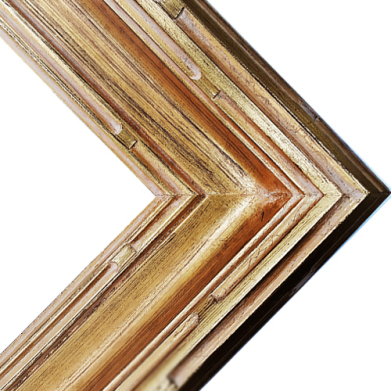 Series 530G Gold Frame   FRMTP-530G-11x14