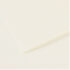 Canson Mi-Teintes Drawing Paper 19" x 25" - Lily