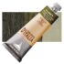 Maimeri Italian Natural Earth Oil Color - Antique Green Earth from Verona, 60 ml tube