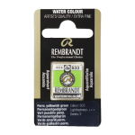 Rembrandt Professional Watercolor Half Pan - 633 Permanent Yellow Green