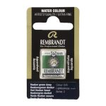 Rembrandt Professional Watercolor Half Pan - 645 Hooker Green Deep
