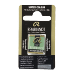 Rembrandt Professional Watercolor Half Pan -848 Interference Green