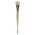 Daler Rowney Robert Simmons Signet Bristle Brush - Broad, Long Handle, Size 20  DR222140020