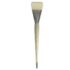 Daler Rowney Robert Simmons Signet Bristle Brush - Broad, Long Handle, Size 22  DR222140022