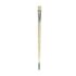Daler Rowney Robert Simmons Signet Bristle Brush - Bright, Long Handle, Size 8  DR222141008