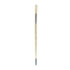 Daler Rowney Robert Simmons Signet Bristle Brush - Egbert Filbert, Long Handle, Size 6  DR222143006