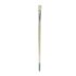 Daler Rowney Robert Simmons Signet Bristle Brush - Flat, Long Handle, Size 6  DR222144006