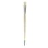 Daler Rowney Robert Simmons Signet Bristle Brush - Flat, Long Handle, Size 8  DR222144008
