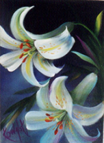 Bob Ross How-To Painting Packet Florals - White Lillies w/ Border RKP036