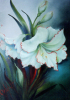 Bob Ross How-To Painting Packet Florals - Bob Ross Amaryllis RKP043