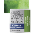 Winsor & Newton Cotman Half Pan Watercolor - Sap Green   0301599