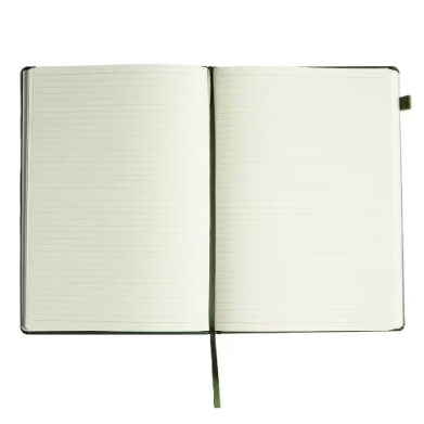 Open notebook with cream lined pages and a green ribbon bookmark on a white background.