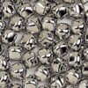 p 24227 SILVER BELSS