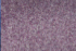 p 29600 dgd22 30