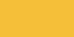 p 29921 TM993